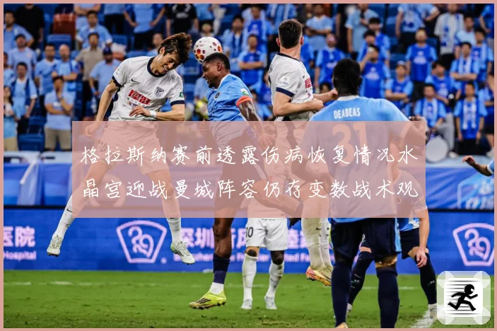 格拉斯纳赛前透露伤病恢复情况水晶宫迎战曼城阵容仍存变数战术观察：最新赛事动态与深度分析