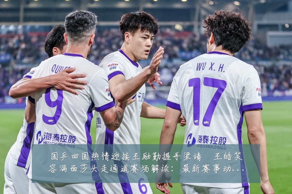 国乒回国热情迎接王励勤握手梁靖崑王皓笑容满面莎头走通道赛场解读:最新赛事动态与深度分析
